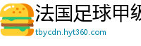 法国足球甲级联赛